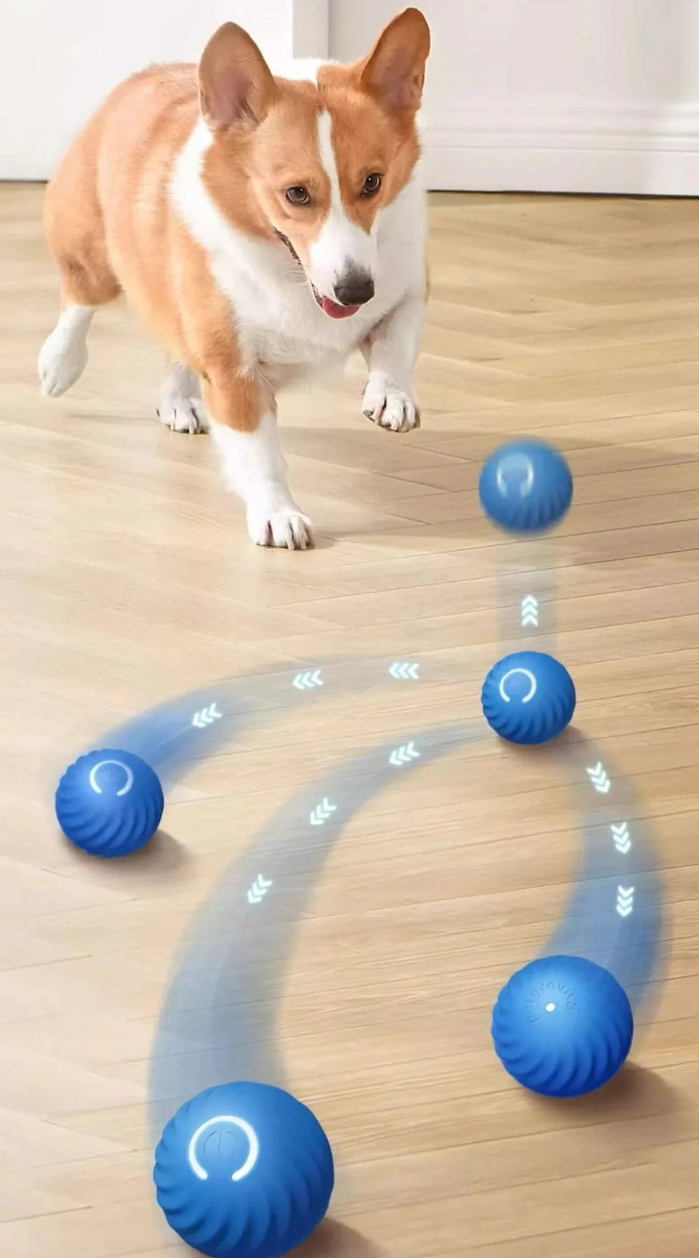 Automatic Moving Dog Toy Ball