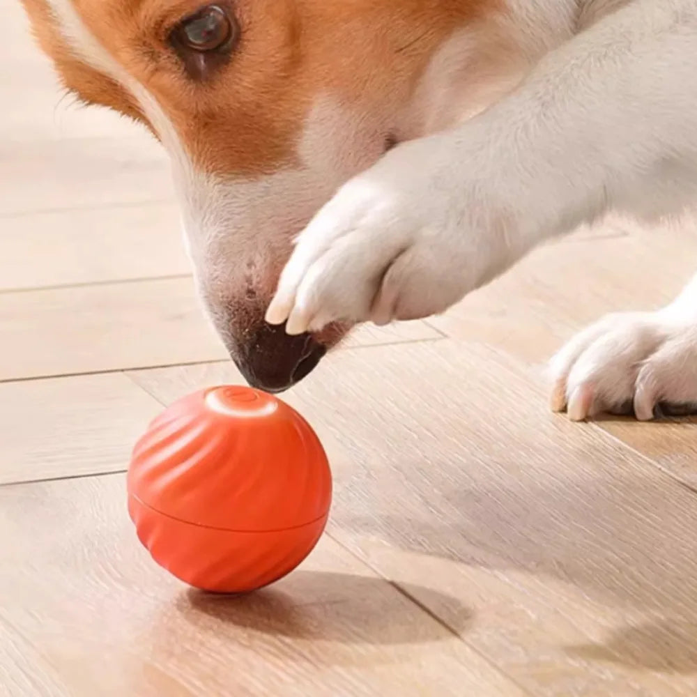Automatic Moving Dog Toy Ball