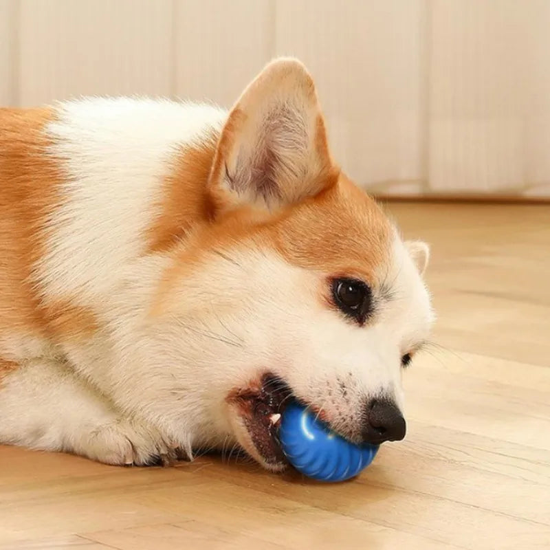 Automatic Moving Dog Toy Ball