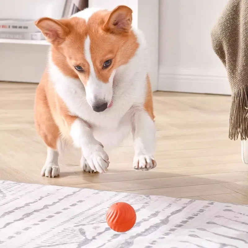Automatic Moving Dog Toy Ball