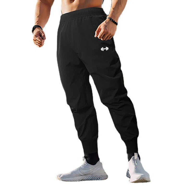 Gym Fitness Sport Pants