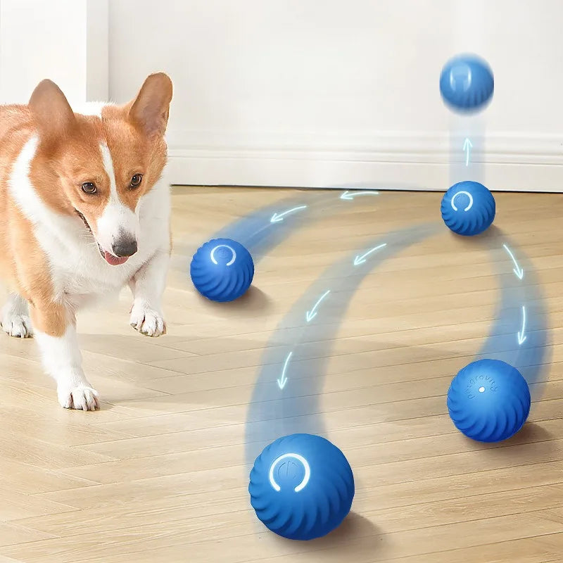 Automatic Moving Dog Toy Ball
