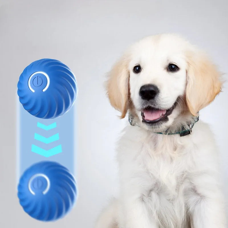 Automatic Moving Dog Toy Ball